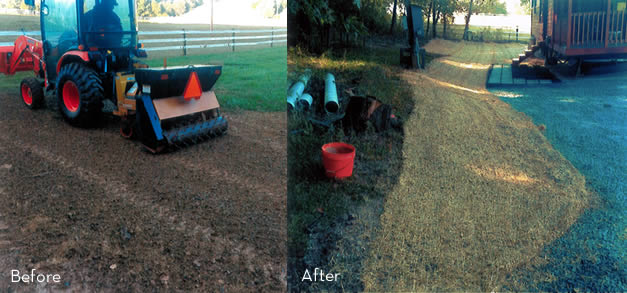 Grass Planting Services in Maryland